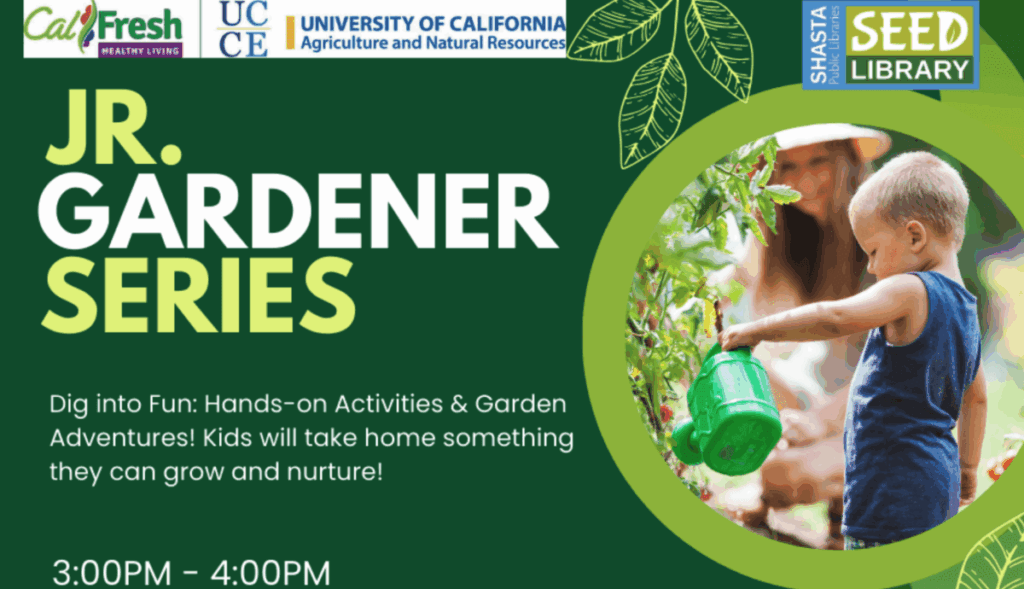 Screenshot 2025-06-23 at 9.41.39 AM